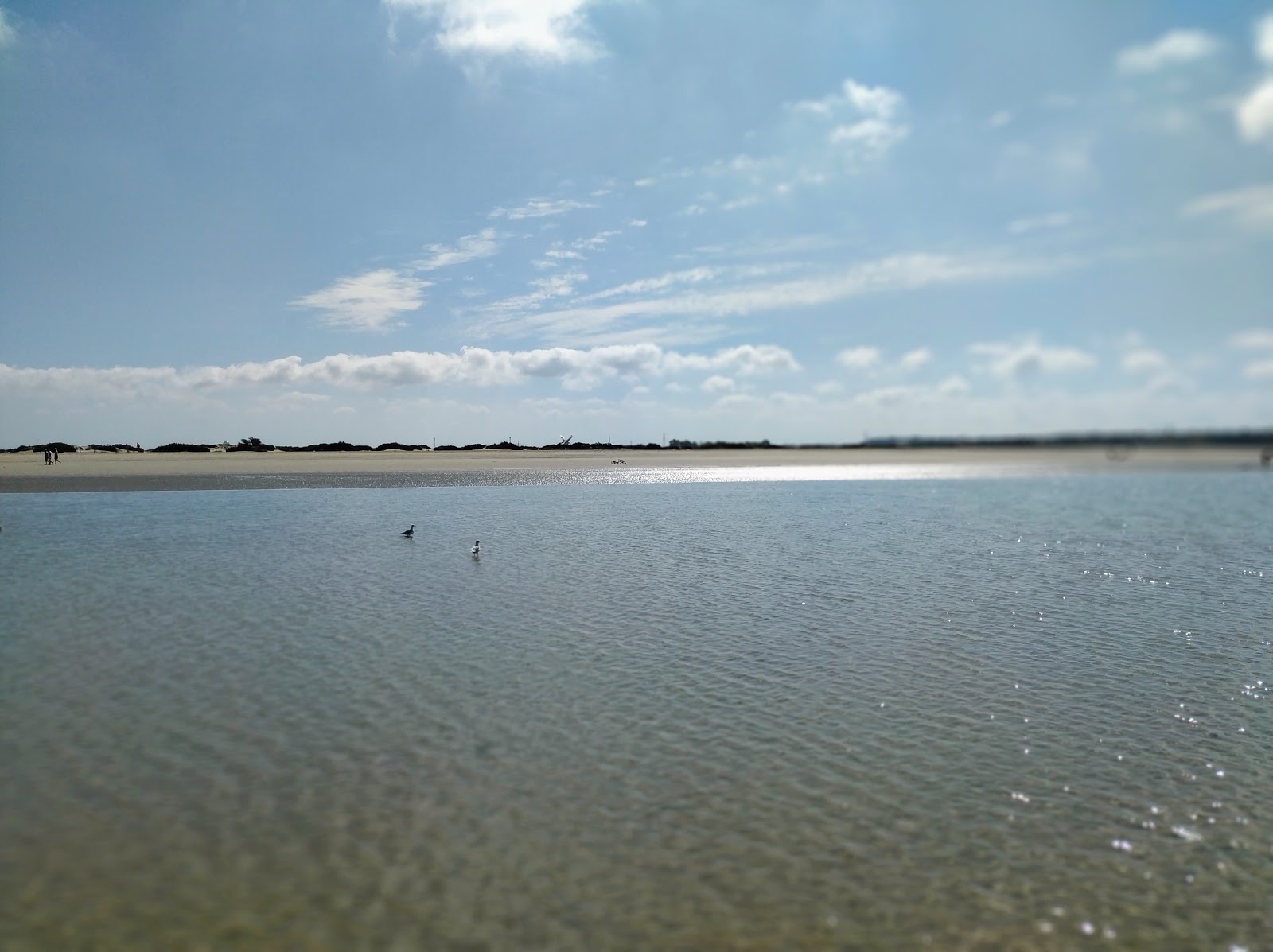 Foto von Playa de Levante mit lange bucht
