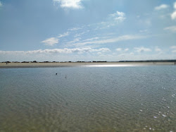 Photo de Playa de Levante avec baie longue