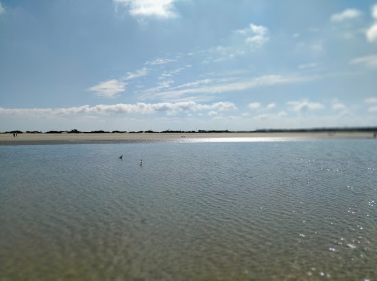 Playa de Levante