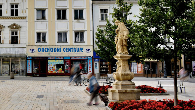 Recenze na socha sv. Jana Nepomuckého v Prostějov - Organizace