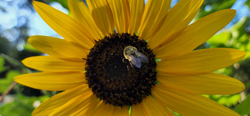 Park «Little Nancy Creek Park», reviews and photos, 4012 Peachtree Dunwoody Rd, Atlanta, GA 30342, USA