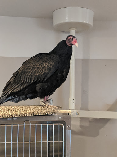 Nature Preserve «Iowa Raptor Center», reviews and photos, 2095 Mehaffey Bridge Rd NE, Solon, IA 52333, USA