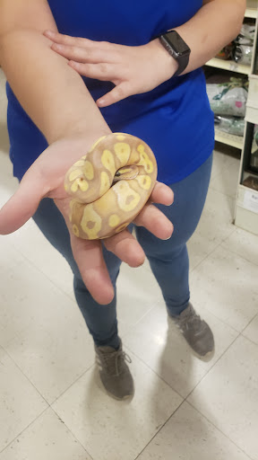 Pet Supply Store «PetSmart», reviews and photos, 1110 Hospitality Dr, Rock Hill, SC 29730, USA