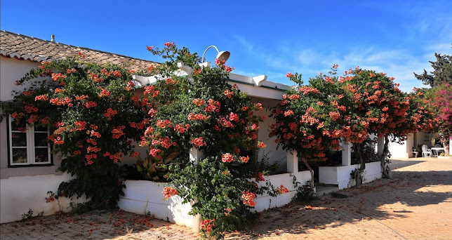 Avaliações doMaravilha Farms Quinta de Tavira em Tavira - Associação