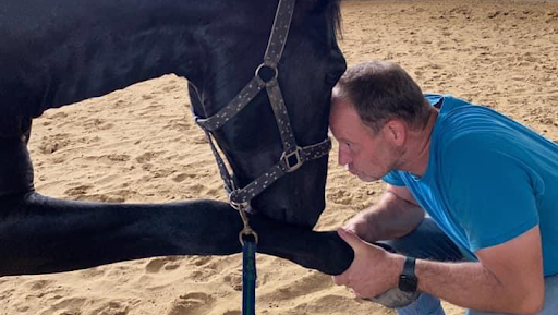 Tierarztpraxis Gregor Leist unter Kempen, Nordrhein-Westfalen