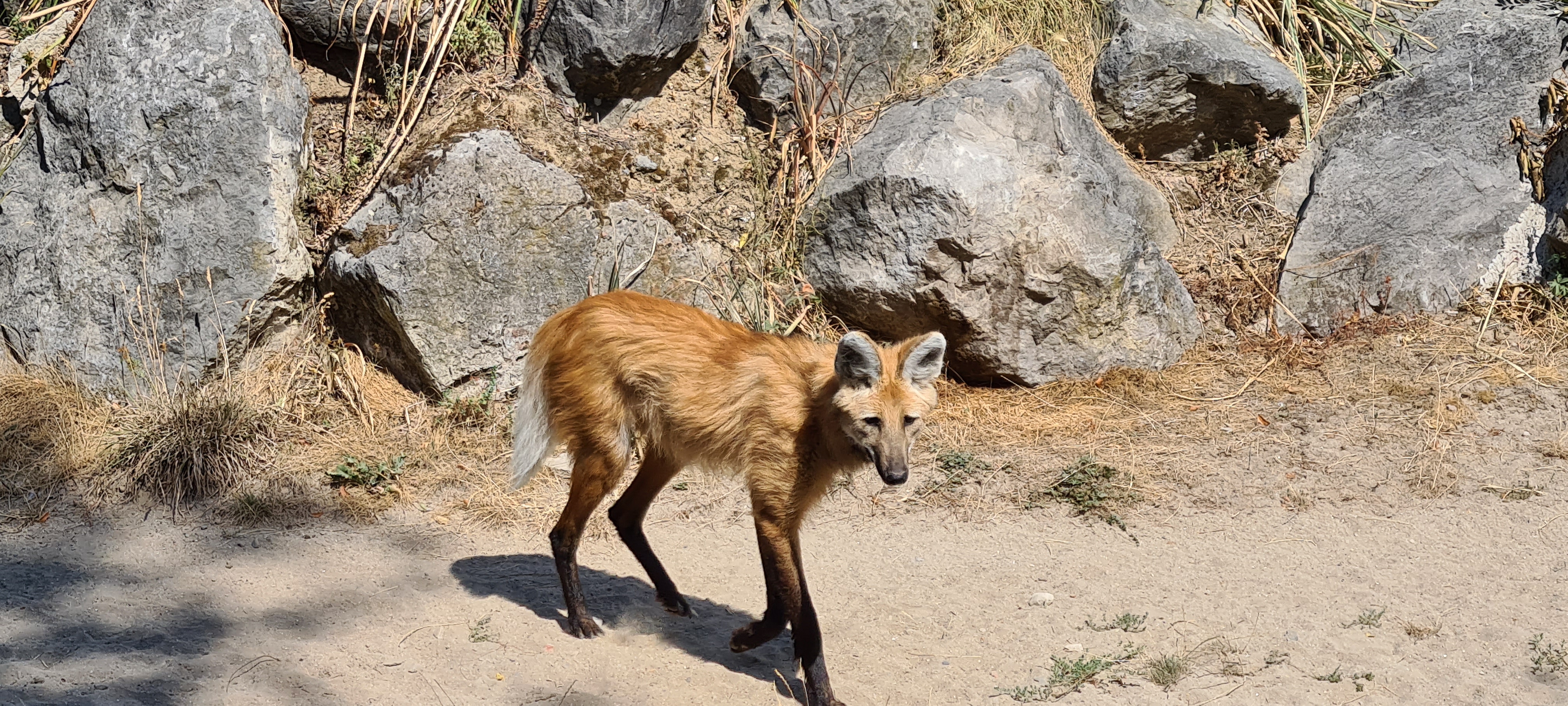 Photo n° 3 de l'avis de Chris.a fait le 16/08/2022 à 09:28