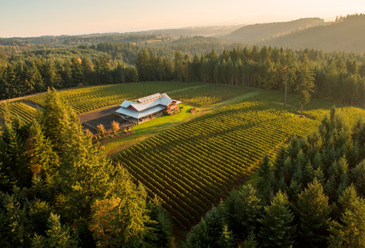 Winery «JK Carriere», reviews and photos, 9995 NE Parrett Mountain Rd, Newberg, OR 97132, USA