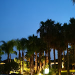 Photo n°19 de l'avis de Orazio.i fait le 19/06/2021 à 20:12 sur le  Botanike Restaurant à Catania