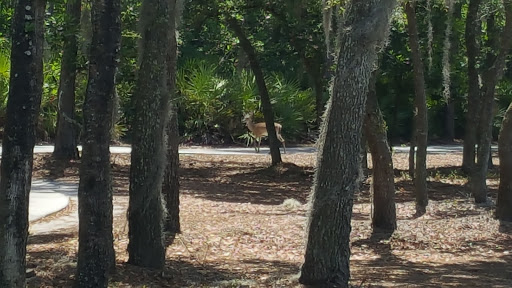 Golf Course «Tranquilo Golf Club at Four Seasons Resort Orlando», reviews and photos, 3451 Golf View Dr, Lake Buena Vista, FL 32830, USA