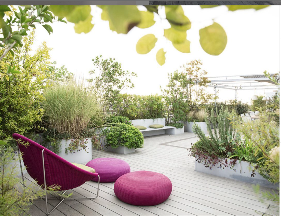 Paola Lenti