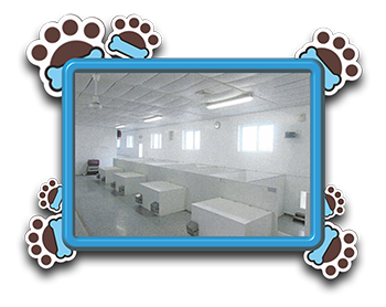 Pet Store «AA Ridgewood Kennels II», reviews and photos, 5401 Lincoln Hwy, Gap, PA 17527, USA