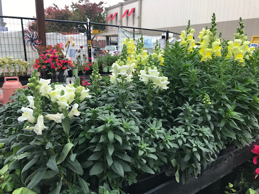 Hardware Store «Laurel Ace Hardware», reviews and photos, 4024 MacArthur Blvd, Oakland, CA 94619, USA