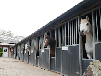 Manege Nijhuis