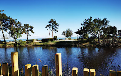 Le Bungalo(w)ve du Ferret à Lège-Cap-Ferret