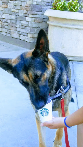Starbucks image