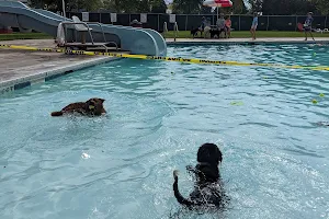 Haynes Outdoor Pool image