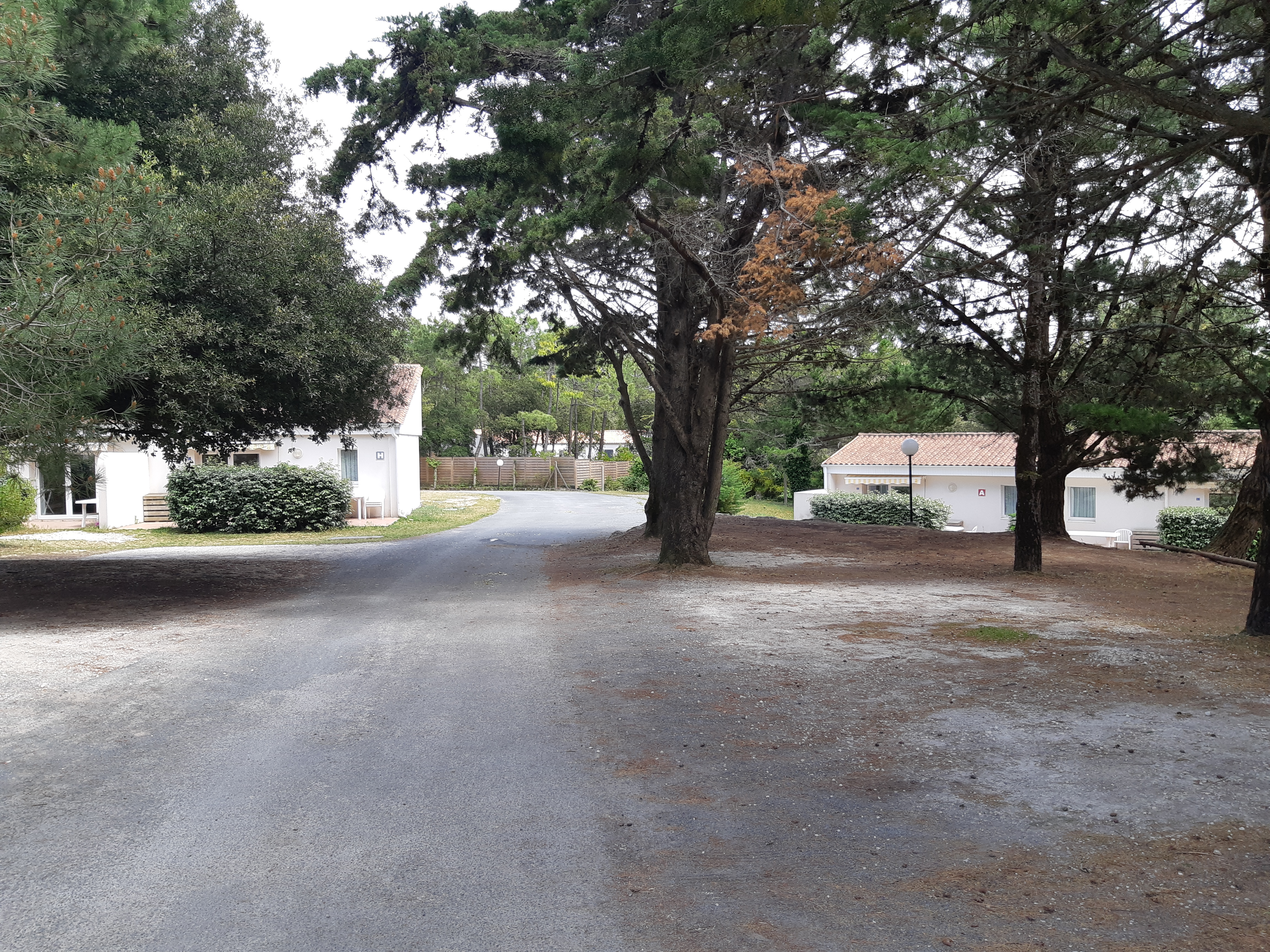 Photo n° 3 de l'avis de Laurent.a fait le 24/05/2019 à 05:53