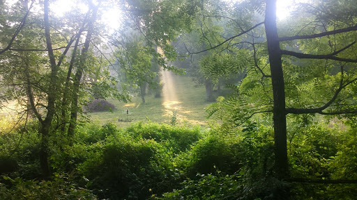 Park «George Rogers Clark Park», reviews and photos, 1024 Thruston Ave, Louisville, KY 40217, USA