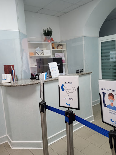 Pensioni per cani e dog hotel a Clinica Veterinaria San Giovanni H24