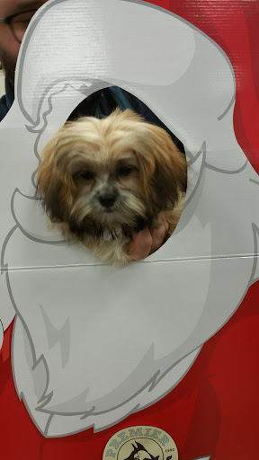 Pet Supply Store «Premier Pet Supply», reviews and photos, 15399 Merriman Rd, Livonia, MI 48154, USA