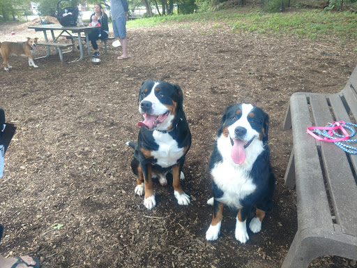 Park «Medway Dog Park», reviews and photos, 298 Village St, Medway, MA 02053, USA