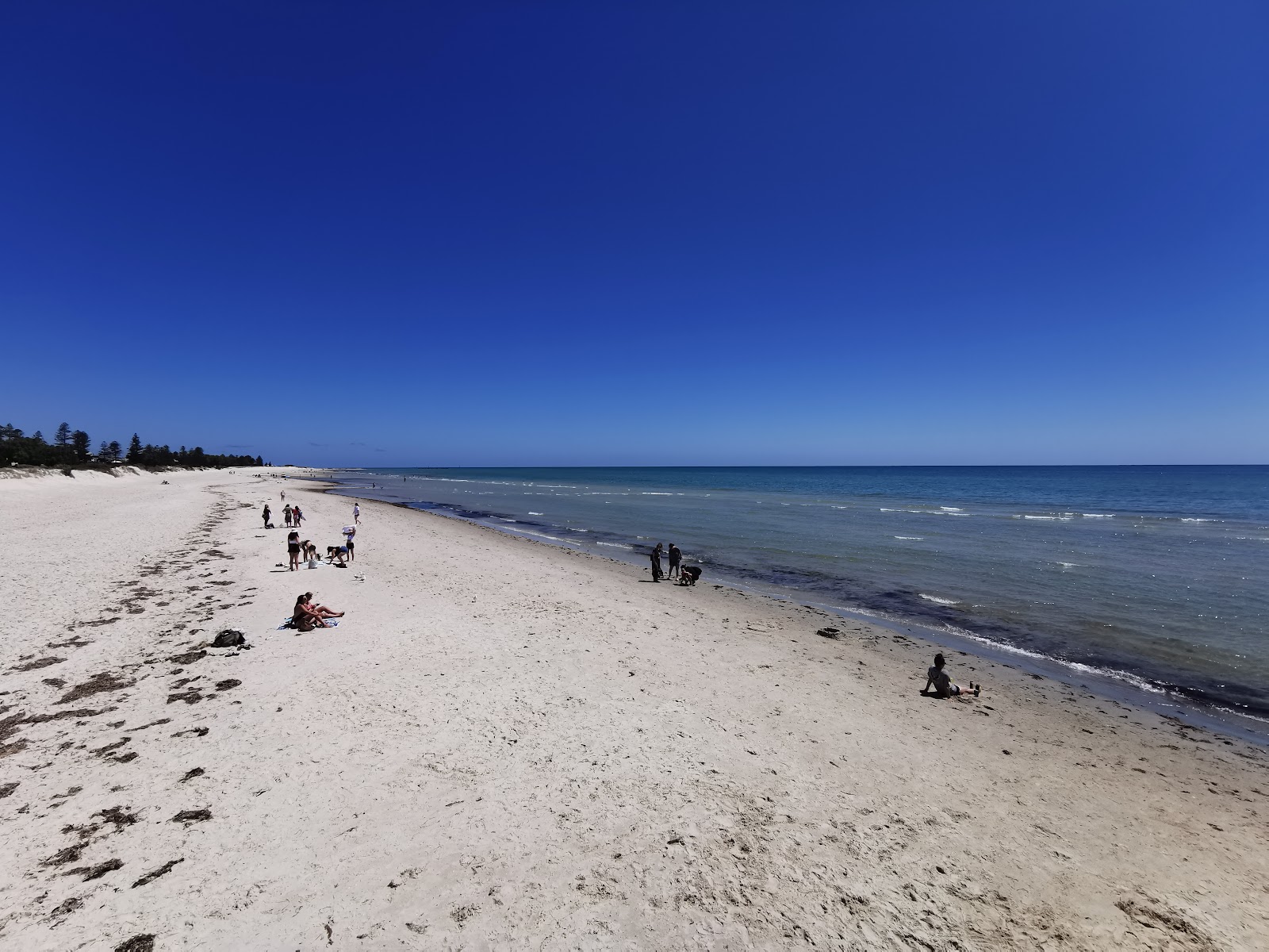 Fotografija Semaphore Beach z svetel pesek površino