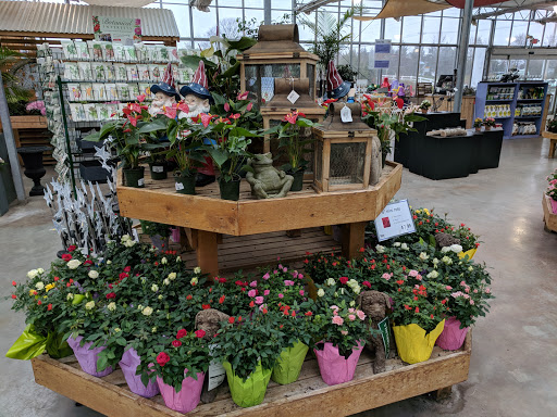 Garden Center «Blooms at Belle Mead», reviews and photos, 1980 US-206, Belle Mead, NJ 08502, USA