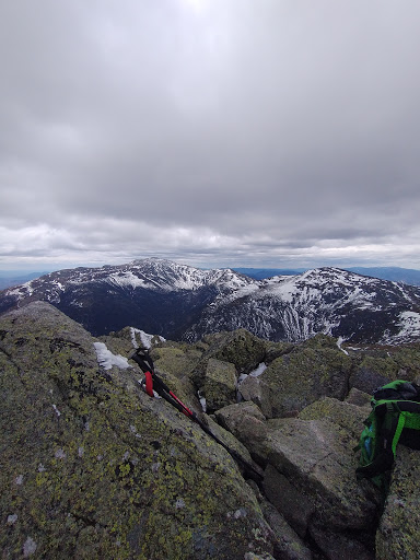 Clothing Store «Patagonia Boston», reviews and photos, 346 Newbury St, Boston, MA 02115, USA