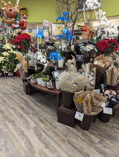 Vons image