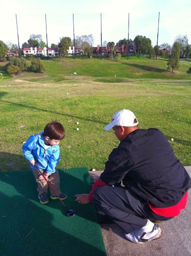 GOLF LESSONS AND SWING ANALYSIS image