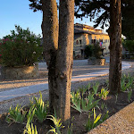 Photo n°2 de l'avis de Arianna. fait le 20/08/2023 à 17:39 sur le  Ristorante @ Fattoria degli Usignoli à San Donato Fronzano