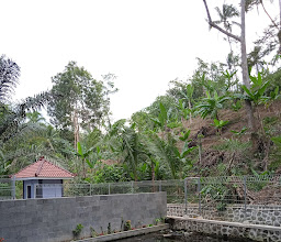 Kolam Ngudal Tuk Putri photo