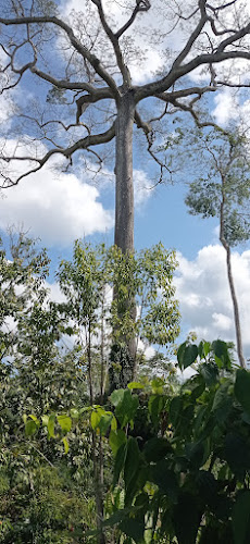 Opinii despre MONTERRICO în Yuyapichis - Camping