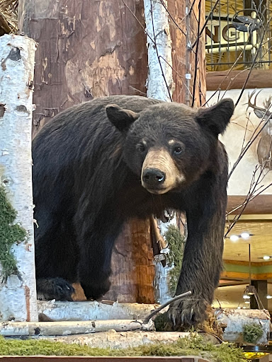 Sporting Goods Store «Bass Pro Shops», reviews and photos, 11550 Lakeridge Pkwy, Ashland, VA 23005, USA