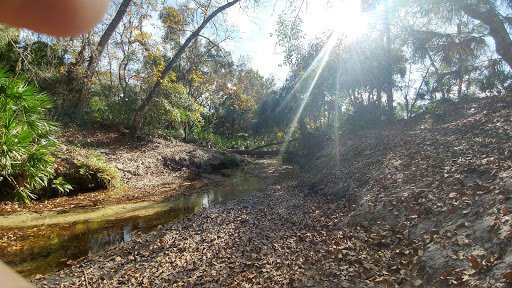 Nature Preserve «Rye Preserve», reviews and photos, 905 Rye Wilderness Trail, Parrish, FL 34219, USA