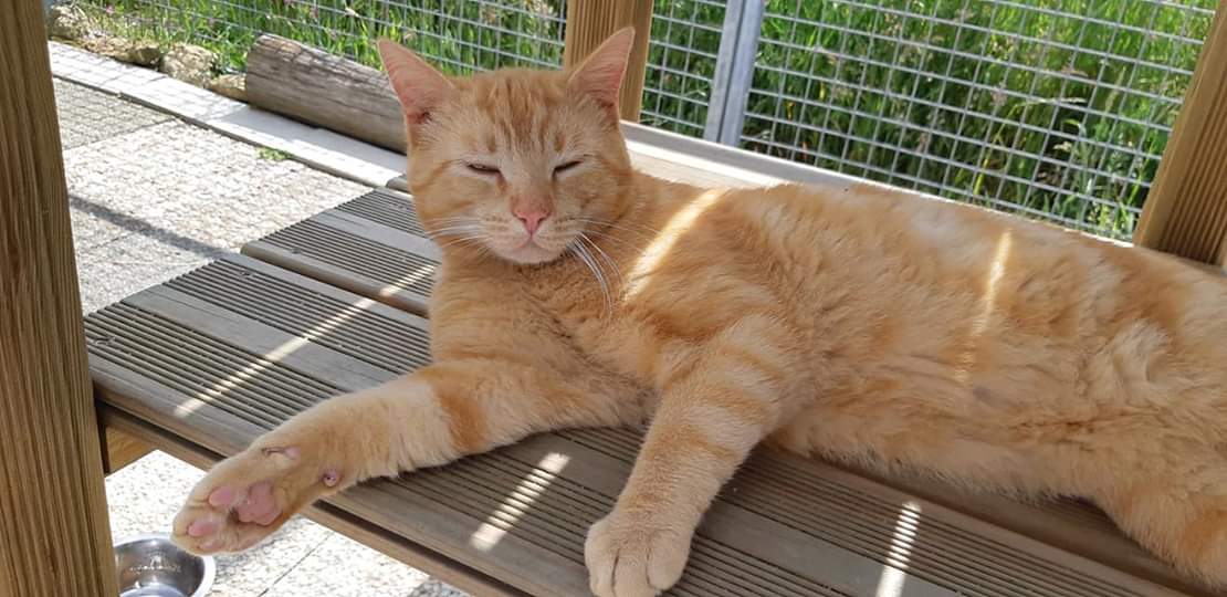 Photo n° 1 de l'avis de Karine.e fait le 11/06/2019 à 20:44