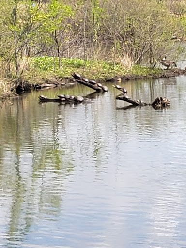 Nature Preserve «Rock Run Preserve - Black Road Access», reviews and photos, Black Rd, Joliet, IL 60431, USA