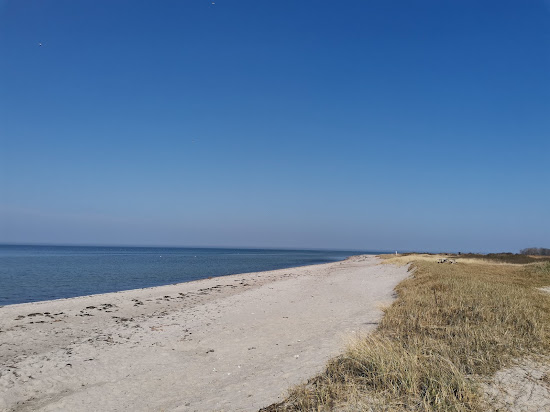 Kobingsmark Beach