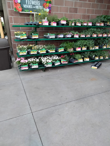 Shopping Mall «Poplar Plaza Shopping Center», reviews and photos, 3440 Poplar Ave, Memphis, TN 38111, USA