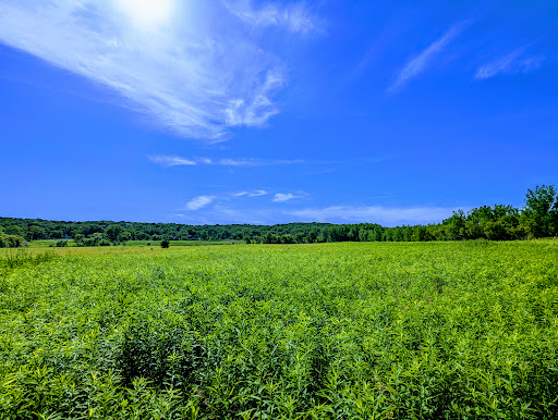 Bird Watching Area «Jelke Creek Bird Sanctuary», reviews and photos, Boncosky Rd, Dundee Township, IL 60118, USA