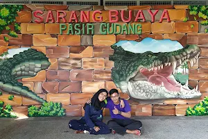 Sarang Buaya Pasir Gudang image