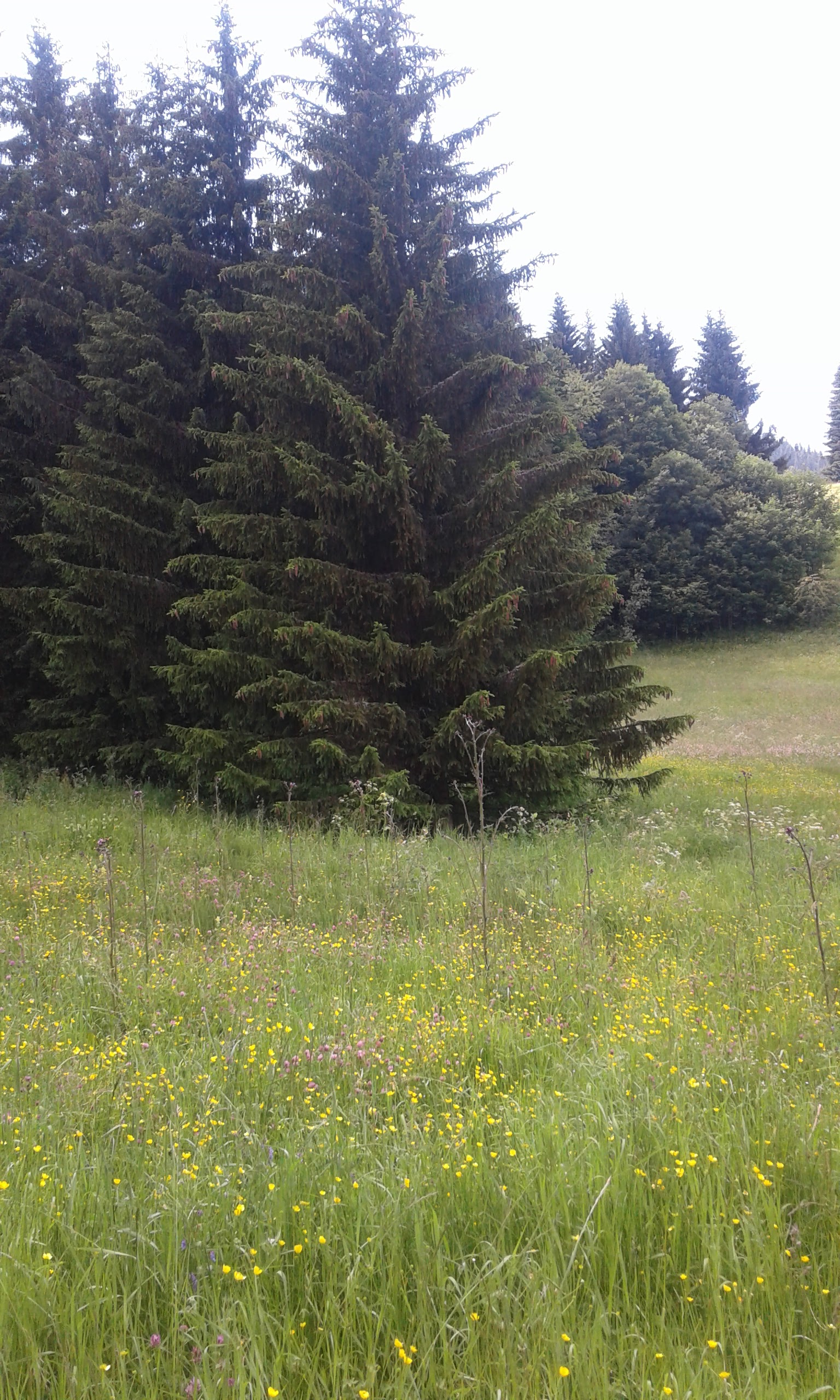 Photo n° 9 de l'avis de Cherzad.r fait le 24/06/2018 à 20:16