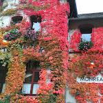 Photo n°1 de l'avis de DeAnsche. fait le 22/10/2019 à 19:54 sur le  Stellwerk Weinschänke und Restaurant im alten Bahnhof à Monreal