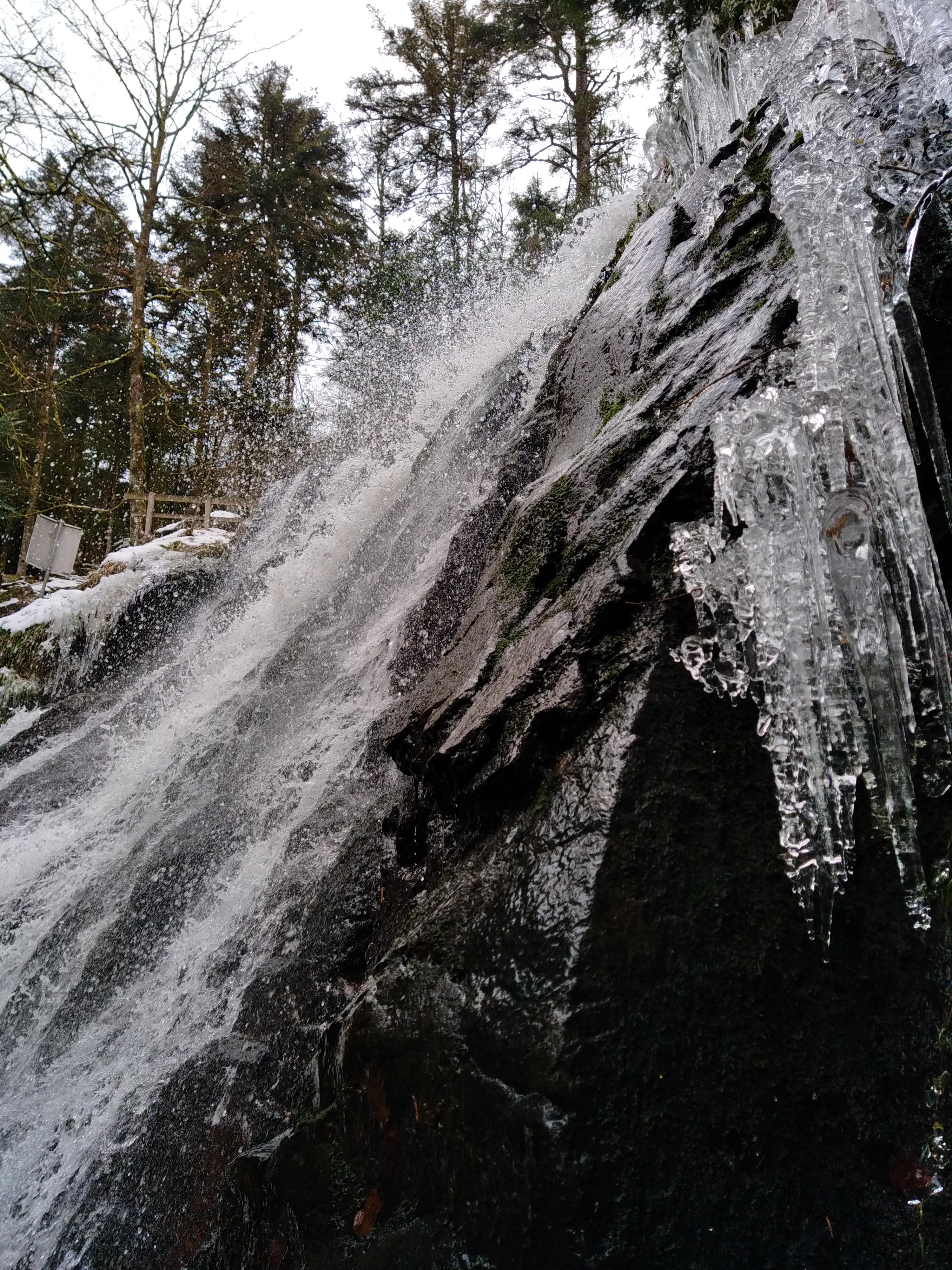 Photo n° 3 de l'avis de Nicolas.a fait le 29/01/2023 à 16:29