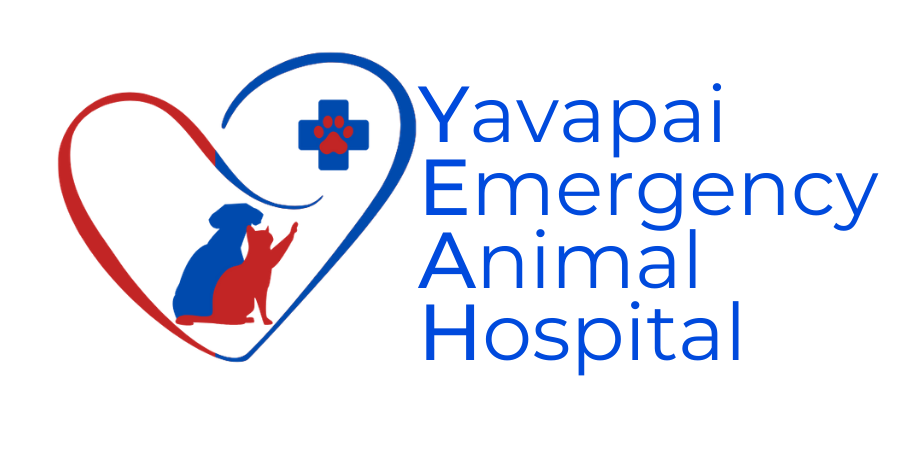 Yavapai Emergency Animal Hospital