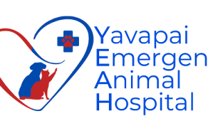 Yavapai Emergency Animal Hospital image