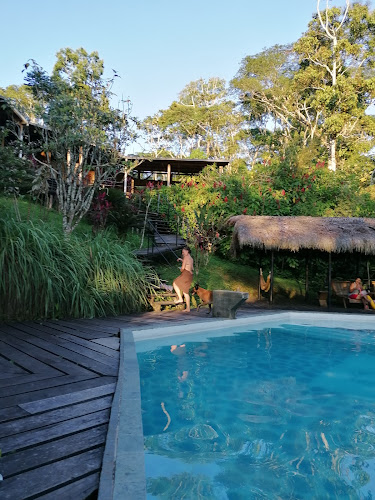 Hamadryade Lodge - Puerto Misahualli