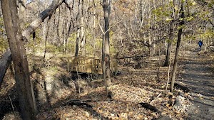 Black Hawk Forest - photo 4