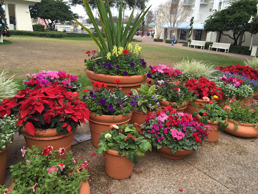 Florist «Exotica Florist», reviews and photos, 10376 Main Street, Fairfax, VA 22030, USA