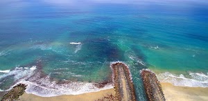 Agua Hedionda Lagoon - photo 17